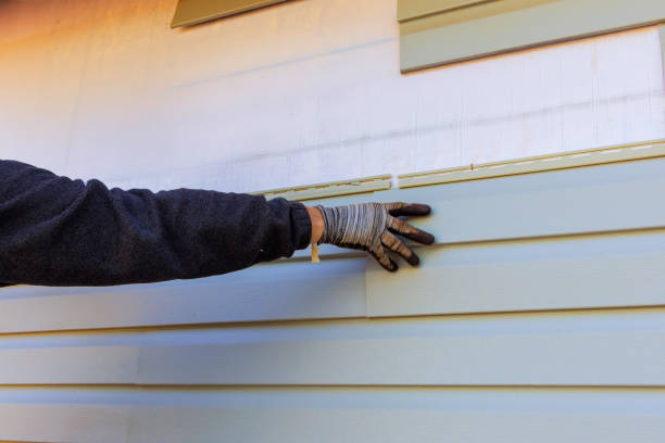 Best Siding Repair  in USA